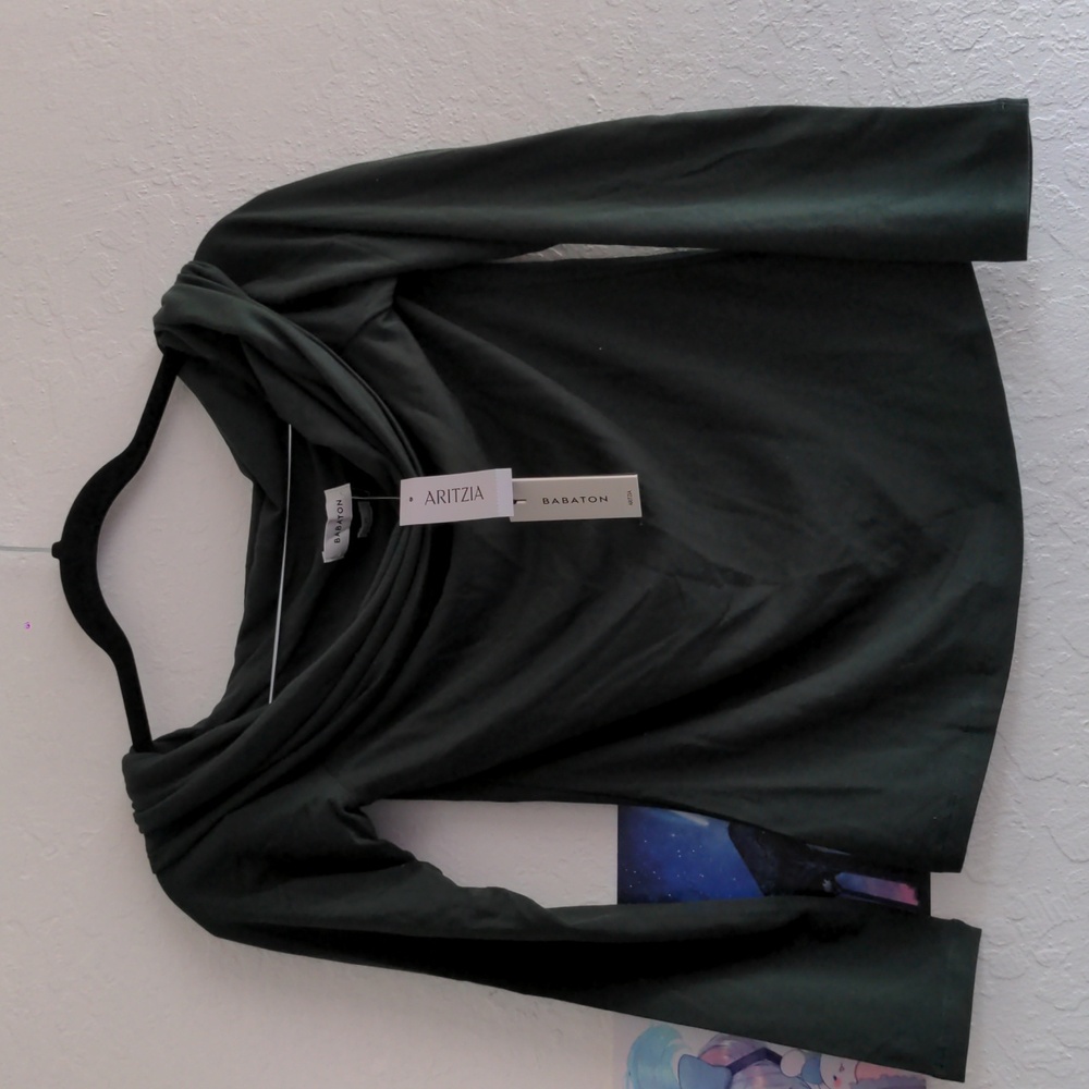 NWT Babaton from Aritzia Tencel Long-sleeve Shirt
